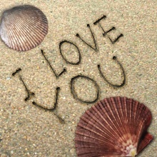Beach Shells.jpg
