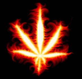 marihuana.jpg