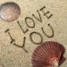 Beach Shells.jpg